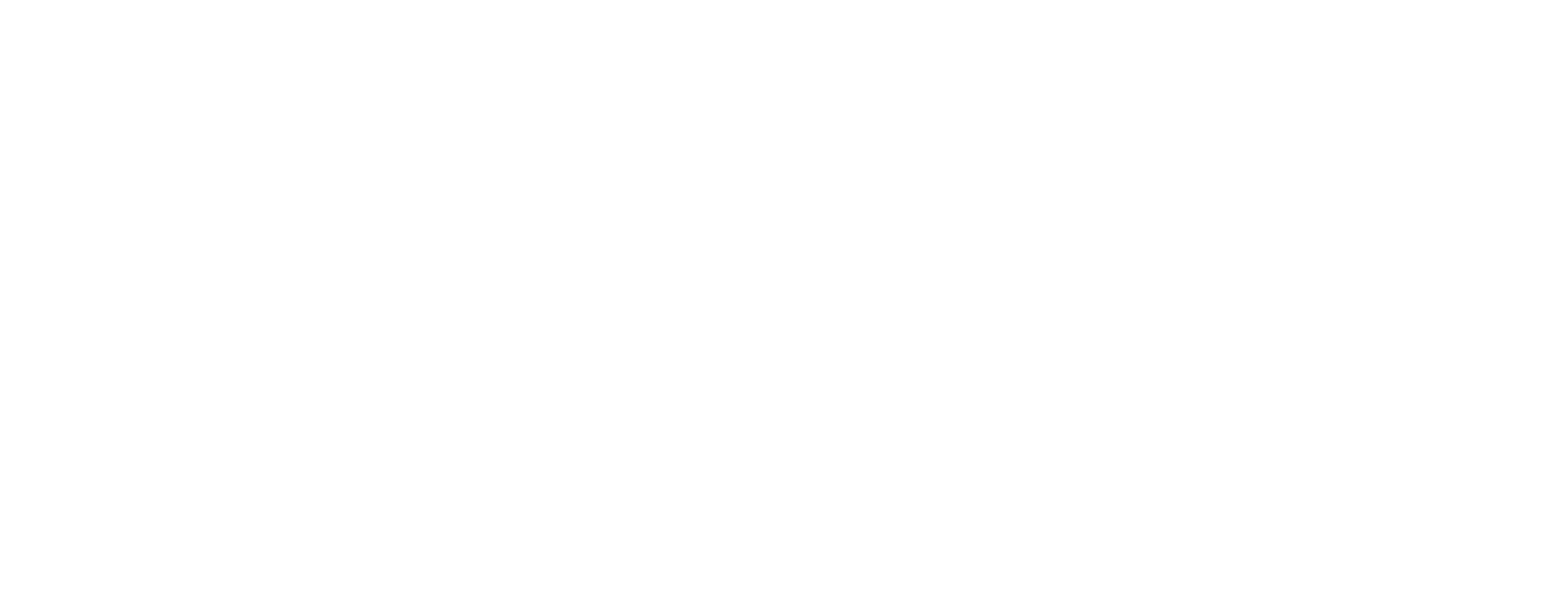 Lizard
